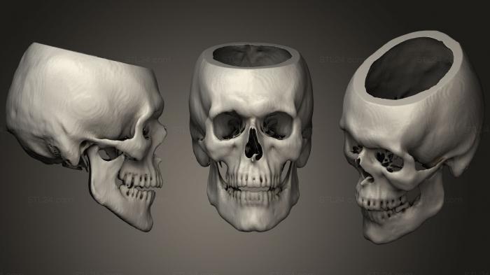 Anatomy of skeletons and skulls (Skull Male 53yo, ANTM_1291) 3D models for cnc